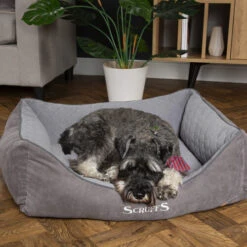 Scruffs Thermal Box Bed -KONG Verkaufsgeschäft scruffs thermal box bed 190825 0500 none