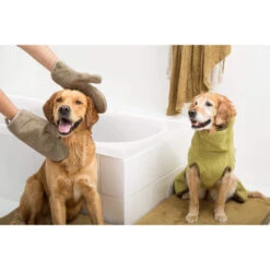 Siccaro DryGlove 7 Siccaro DryGlove -KONG Verkaufsgeschäft siccaro dryglove 196901 0500 none