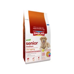 Smølke Hund Senior Medium -KONG Verkaufsgeschäft smlke hond senior medium 154858 0500 none