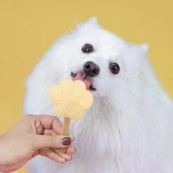 Smoofl Hundeeis Starter Kit 19 Smoofl Hundeeis Starter Kit -KONG Verkaufsgeschäft smoofl dog ice starter kit 195155 0500 none