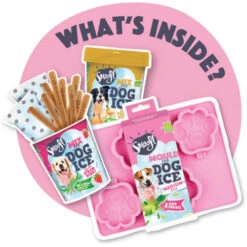 Smoofl Hundeeis Starter Kit 16 Smoofl Hundeeis Starter Kit -KONG Verkaufsgeschäft smoofl dog ice starter kit 195173 0500 none