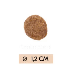 Vetality Gastrointestinal - Hundefutter -KONG Verkaufsgeschäft vetality gastrointestinal hondenvoer 195449 0500 none