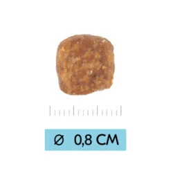 Vetality Puppy Medium - Hundefutter -KONG Verkaufsgeschäft vetality puppy medium hondenvoer 213674 0500 none