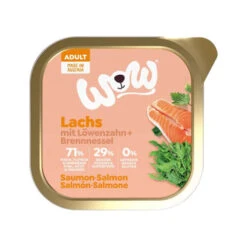 WOW! Hundefutter Adult - Schale 14 WOW! Hundefutter Adult - Schale -KONG Verkaufsgeschäft wow adult hondenvoer kuipje 208466 0500 none