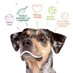 Yarrah - Bio Trockenfutter Vega Getreidefrei -KONG Verkaufsgeschäft yarrah bio droogvoer hond vega graanvrij 201212 0500 none