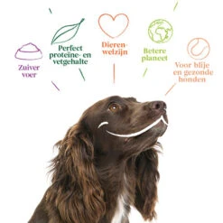 Yarrah - Hundefutter In Soße Vega Mit Hagebutten Bio -KONG Verkaufsgeschäft yarrah bio natvoer hond kuipje chunks vega 200843 0500 none