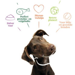 Yarrah - Getreidefreies Trockenfutter Bio 9 Yarrah - Getreidefreies Trockenfutter Bio -KONG Verkaufsgeschäft yarrah droogvoer hond graanvrij bio 201170 0500 none