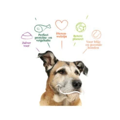 Yarrah - Trockenfutter Senior Mit Huhn, Fisch Und Kräutern Bio 9 Yarrah - Trockenfutter Senior Mit Huhn, Fisch Und Kräutern Bio -KONG Verkaufsgeschäft yarrah droogvoer hond senior bio 201146 0500 none