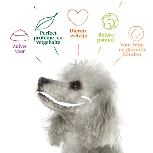 Yarrah - Vegetarische Bröckchen Mit Cranberry Bio – Bild 5